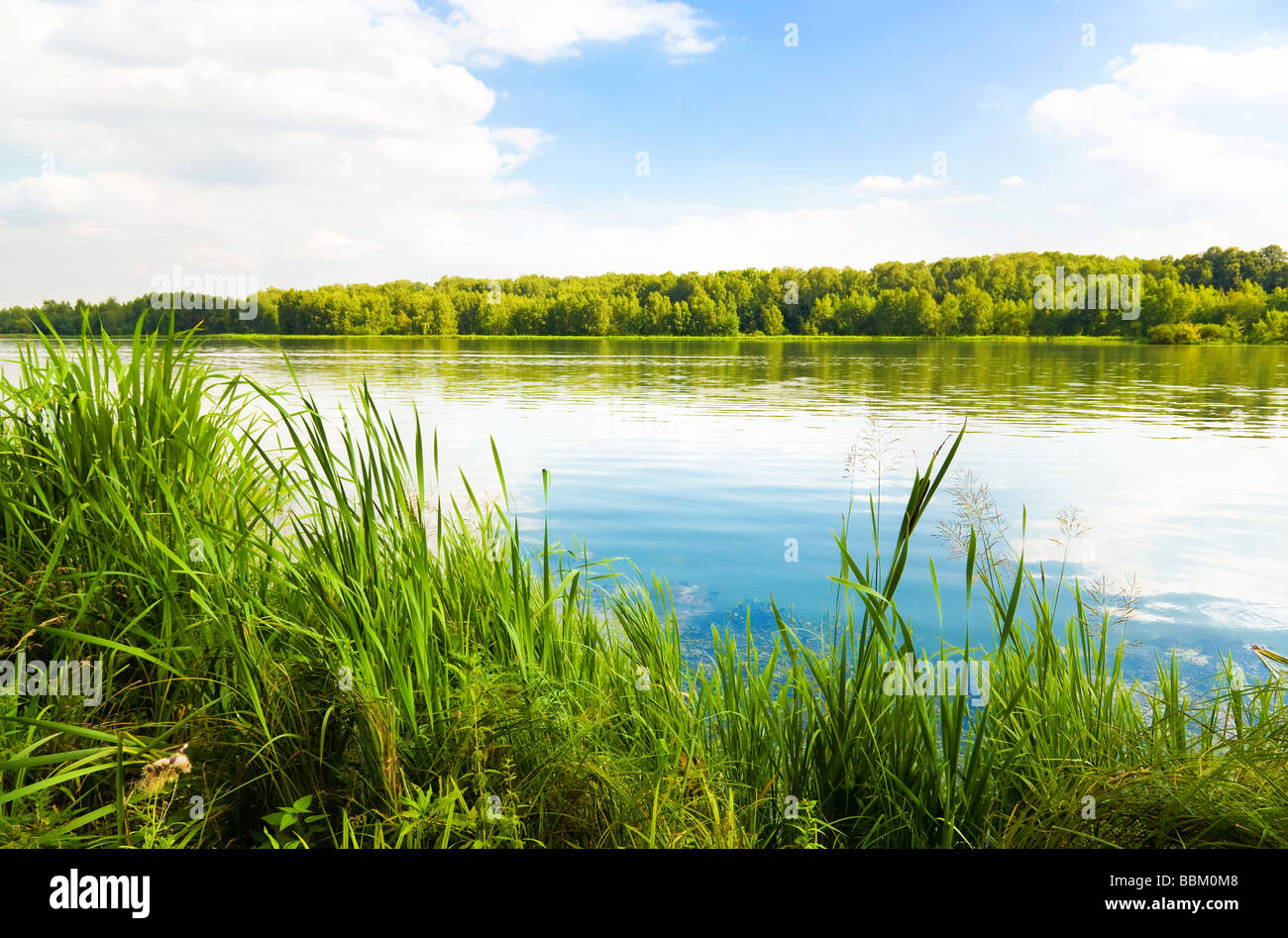 Banca Verde di un lago di colori saturi Foto Stock