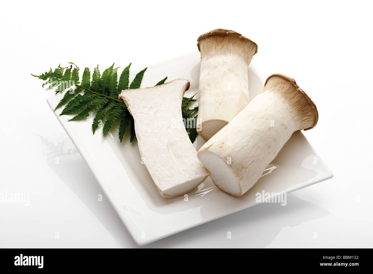 Il re dei funghi a campana, il corno francese di funghi o Re funghi Oyster (Pleurotus eryngii) su una piastra in Cina con una foglia di felce Foto Stock