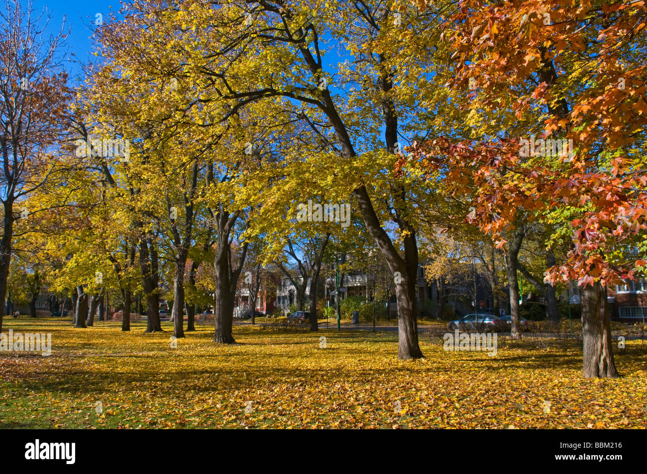 Park Outremont nella stagione autunnale Montreal Foto Stock