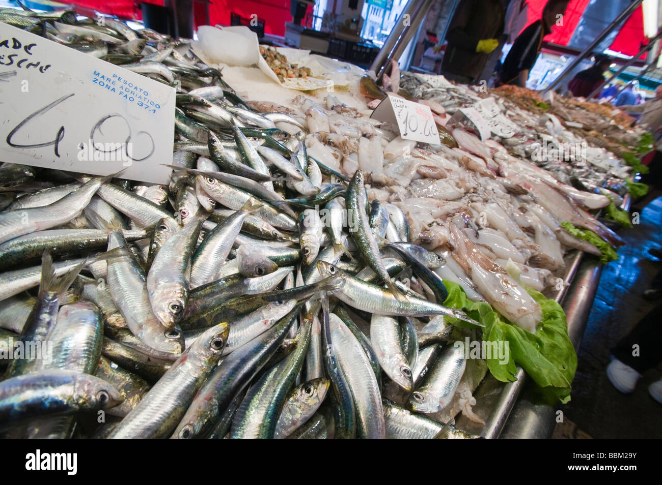 Sardine in vendita presso la Pescheria di Rialto Mercato del pesce San Polo Venezia Italia Foto Stock