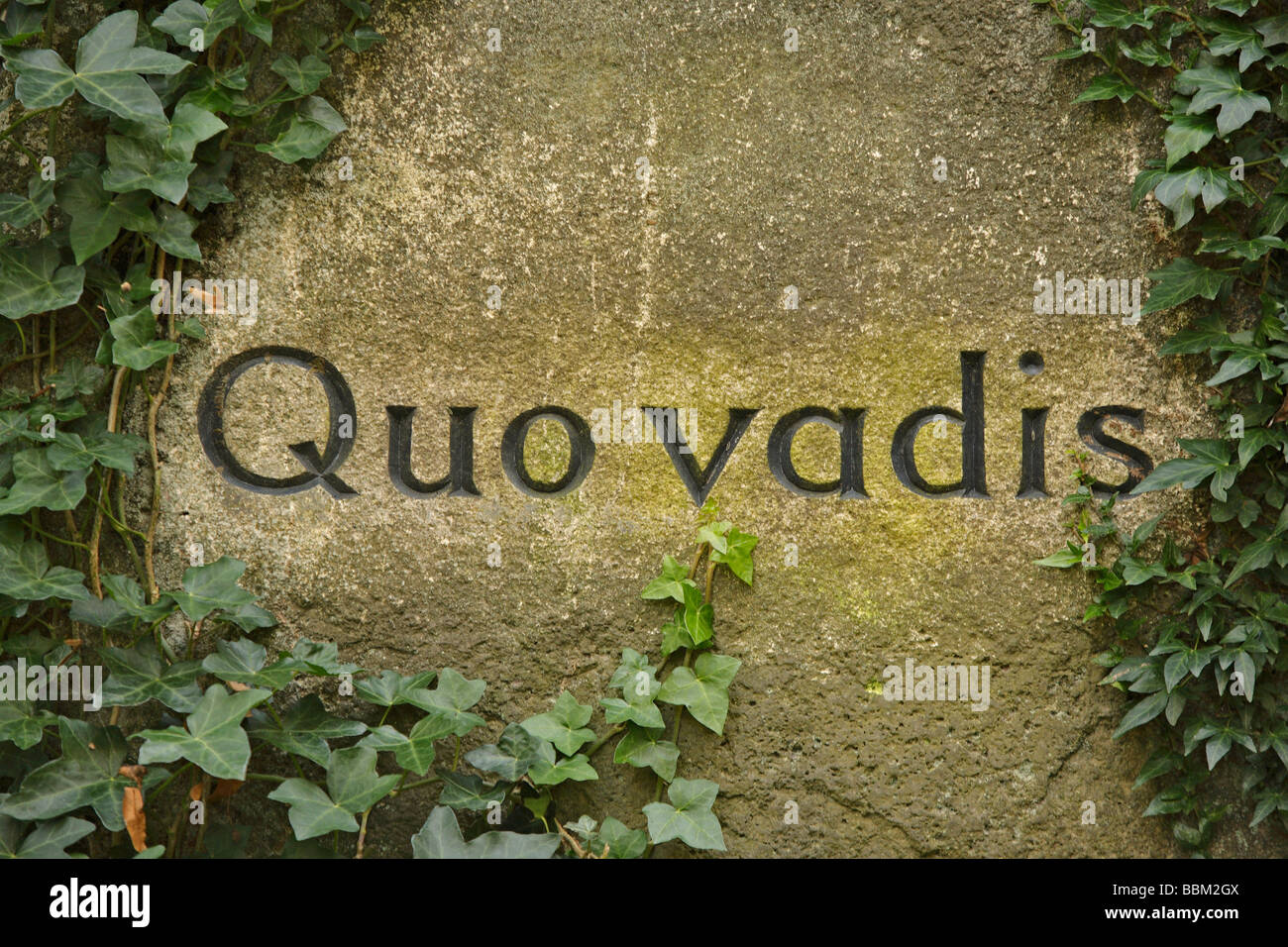 Lapide recante l'iscrizione Quo vadis, cimitero Ohlsdorf, Amburgo, Germania, Europa Foto Stock