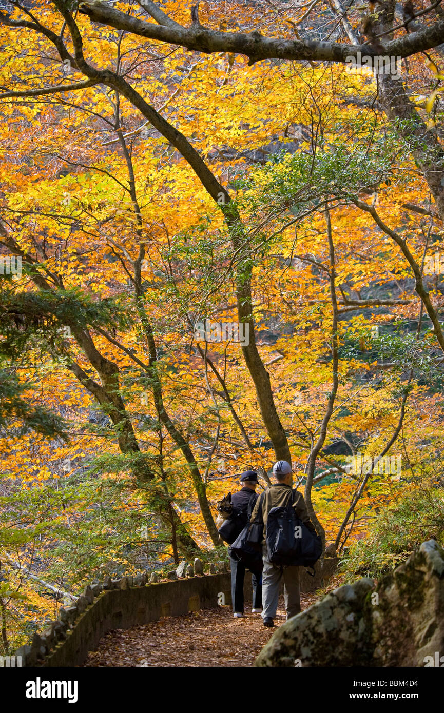 Gli escursionisti su un sentiero in autunno quartiere Sandankyo Prefettura di Hiroshima Hiroshima, Giappone Foto Stock