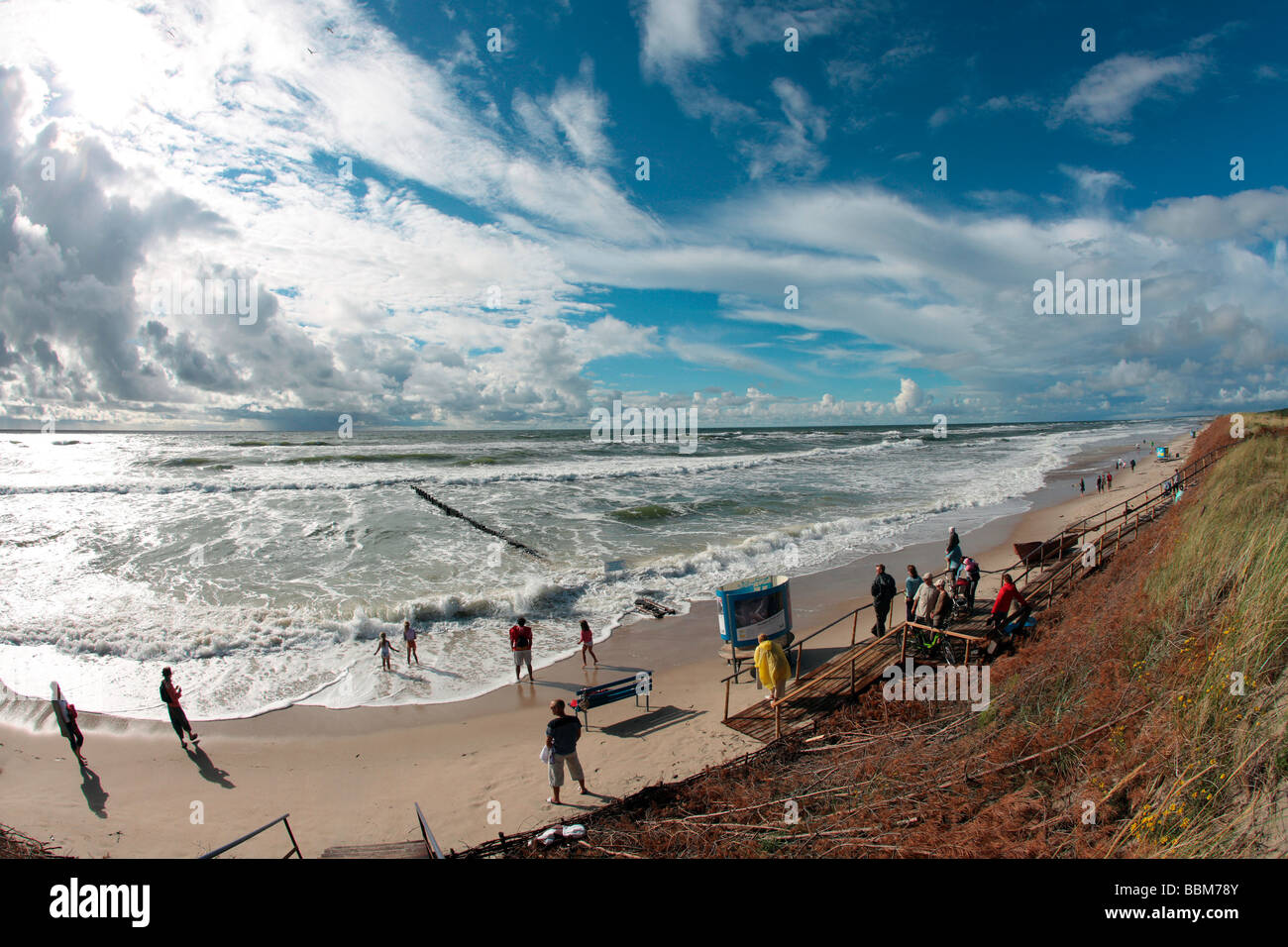 Spiaggia e duna riparata, costa baltica in Kuroeiu Nerija Parco Nazionale sul Curonian Spit in Lituania Foto Stock