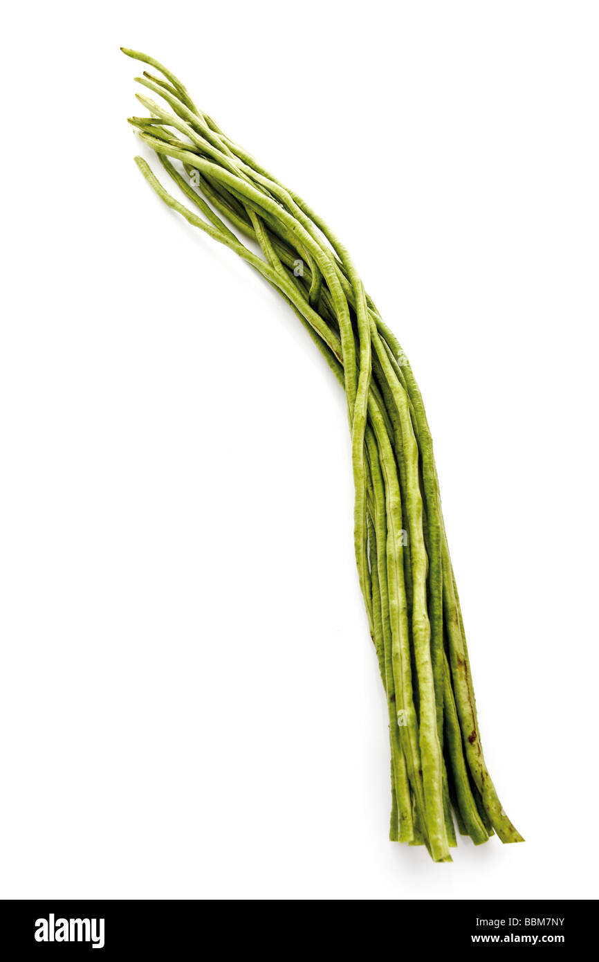 Yardlong Fave, fagioli asparagi o Snake Fagioli (Vigna unguiculata) Foto Stock