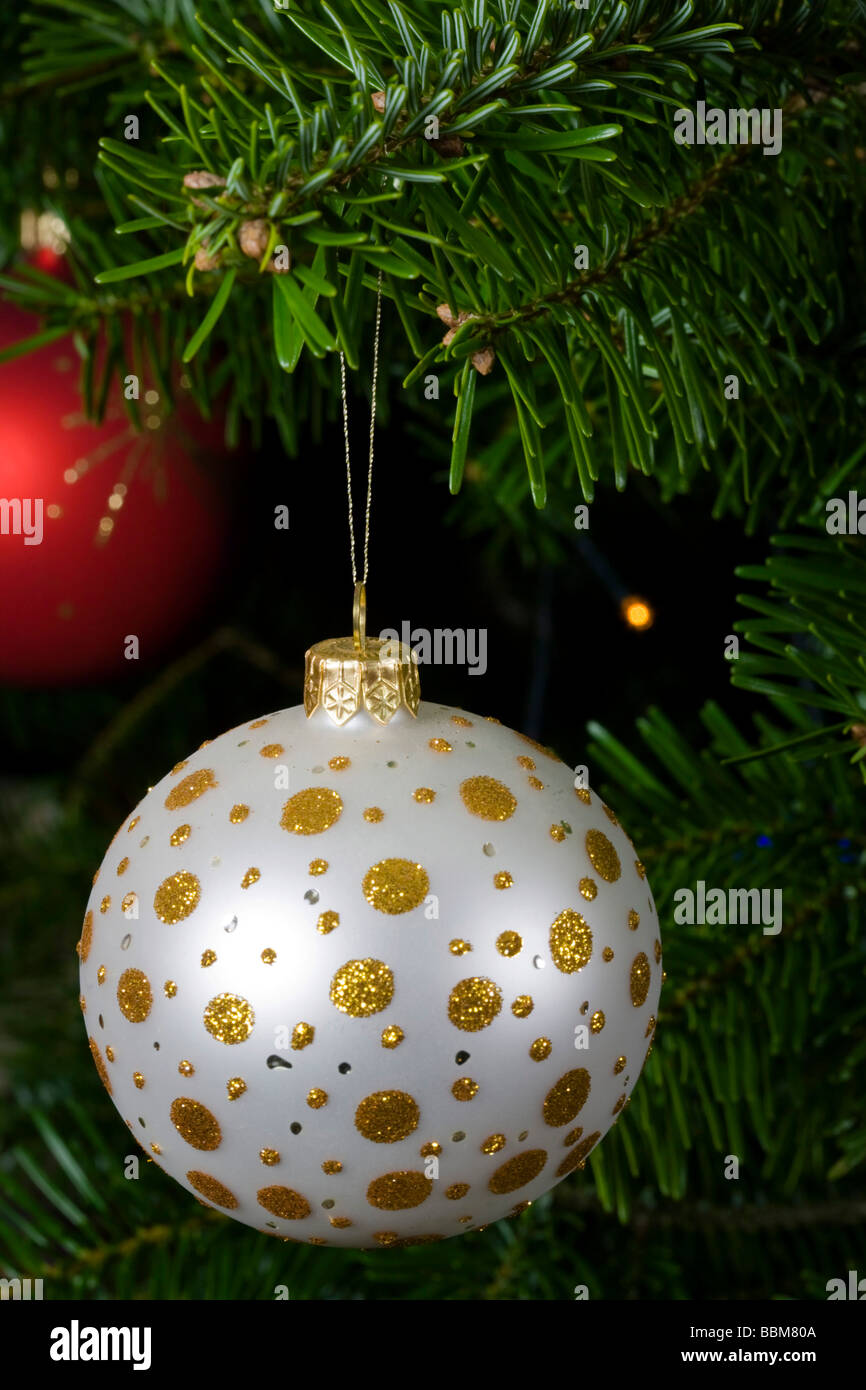 Bianco e oro pallina di vetro su albero di Natale vero ramo Foto Stock