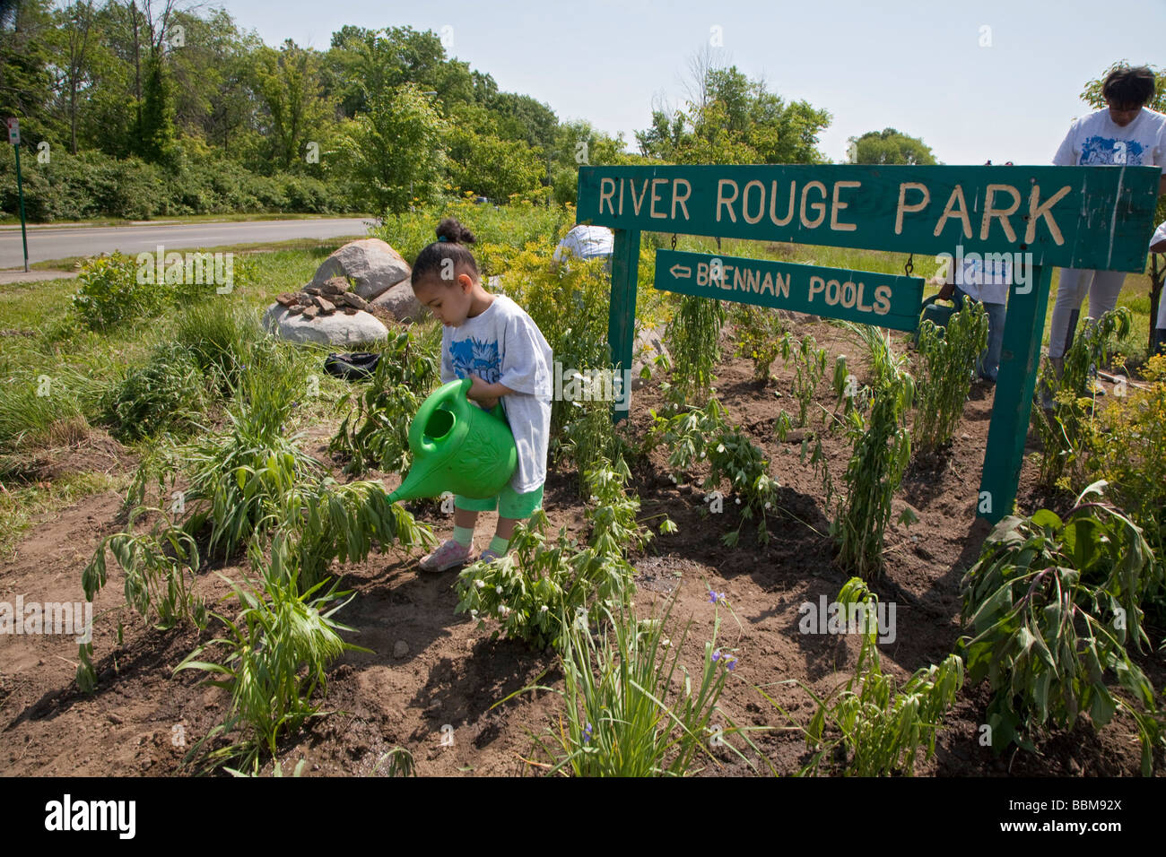 Detroit Michigan un giovane bambino acque piante piantate da volontari in Rouge Park come parte di un parco cleanup Foto Stock