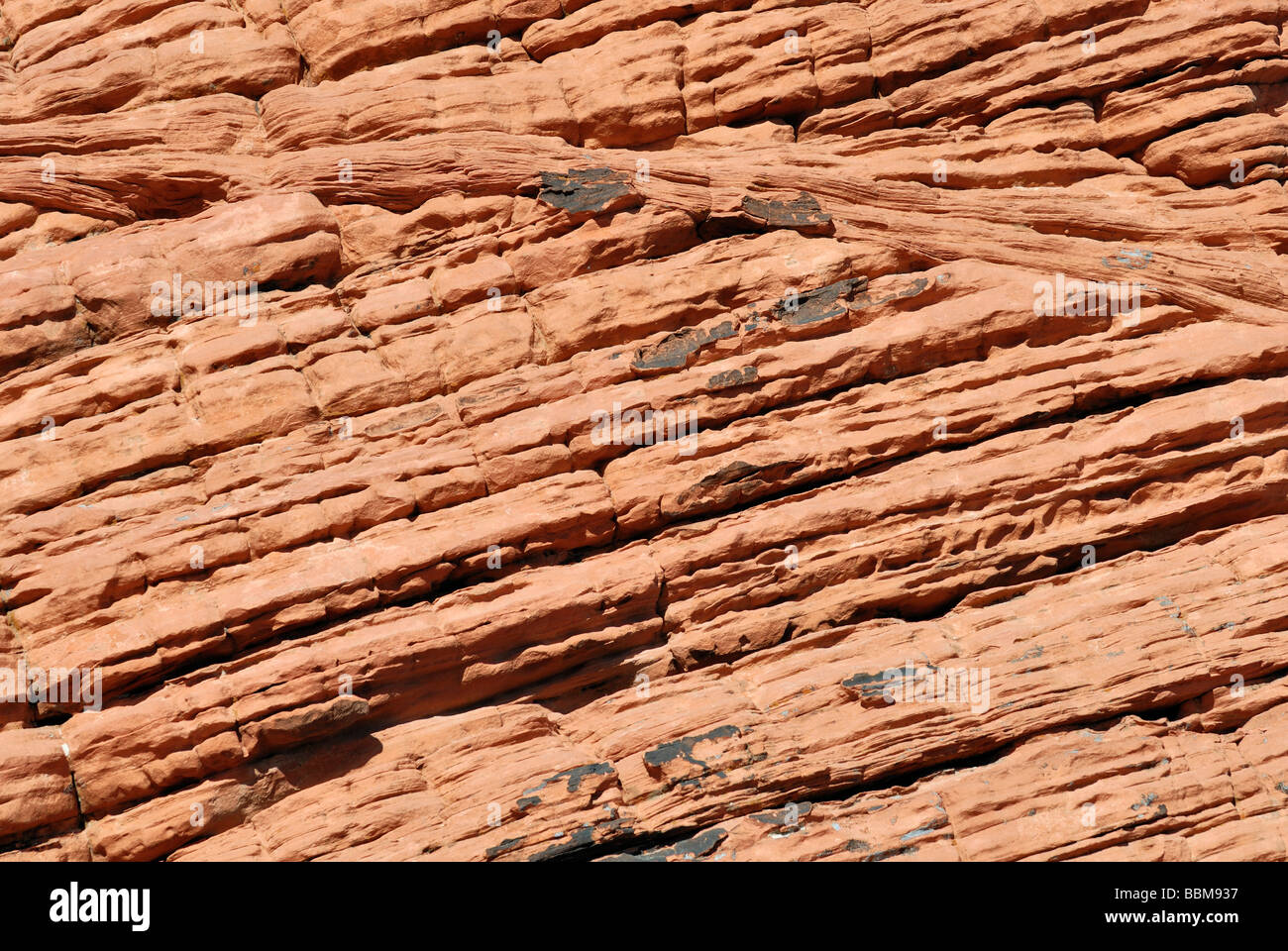 Struttura in pietra arenaria dell'alveare formazione di roccia, la Valle del Fuoco del parco statale, Nevada, STATI UNITI D'AMERICA Foto Stock