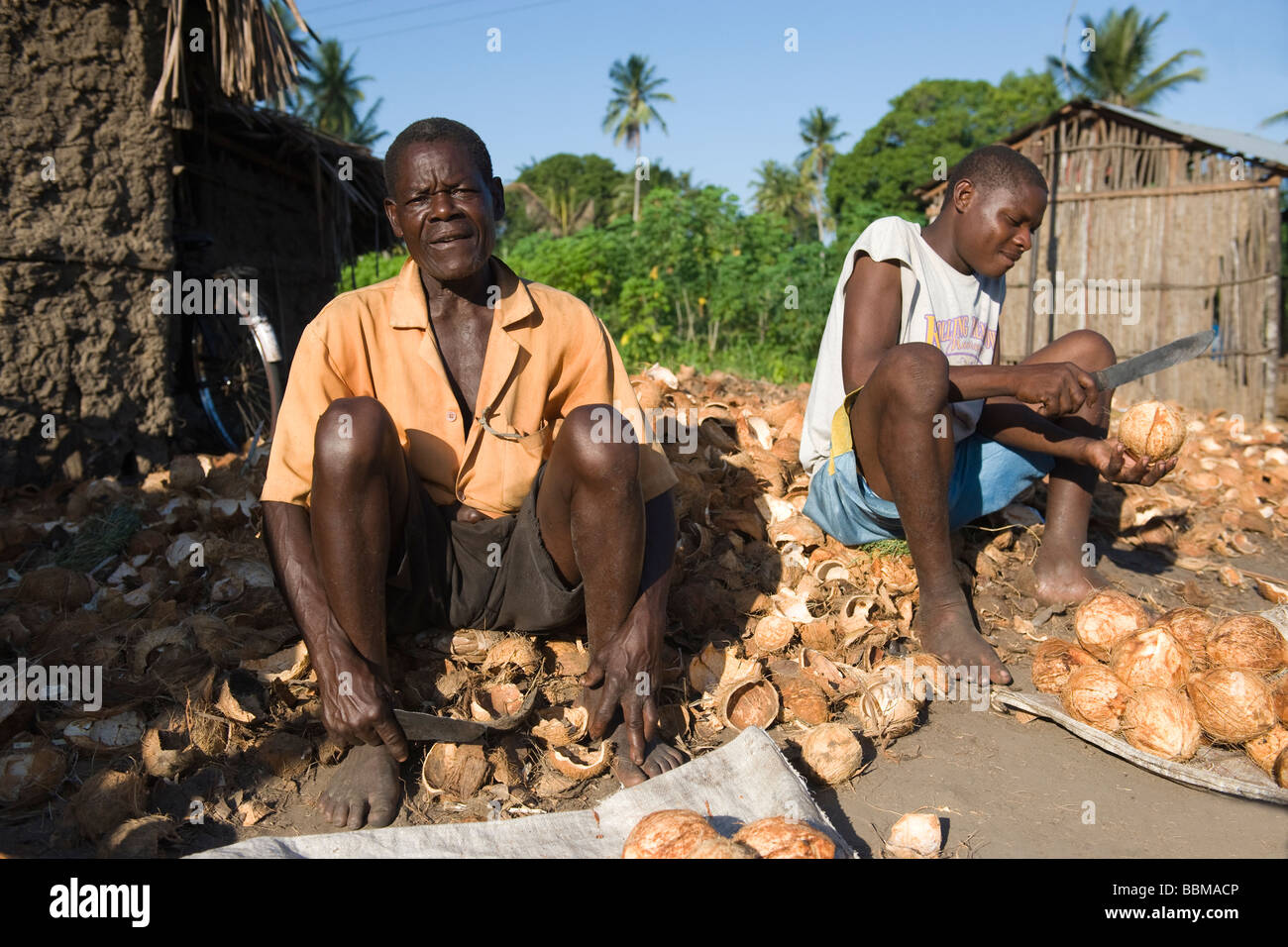 Street hawker vendita di noci di cocco fresco Quelimane Mozambico Foto Stock