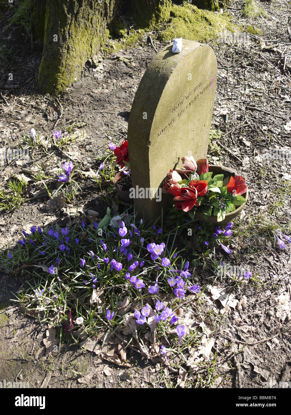 Tomba di nick drake il cantante folk cimitero tanworth in arden warwickshire Foto Stock