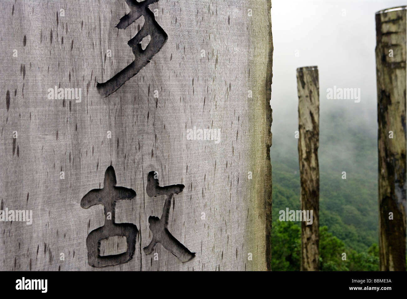 Cina, Hong Kong, Lantua isola. La Saggezza trail. L'outdoor versione in legno del 260-parola preghiera è su 38 travi in legno. Foto Stock