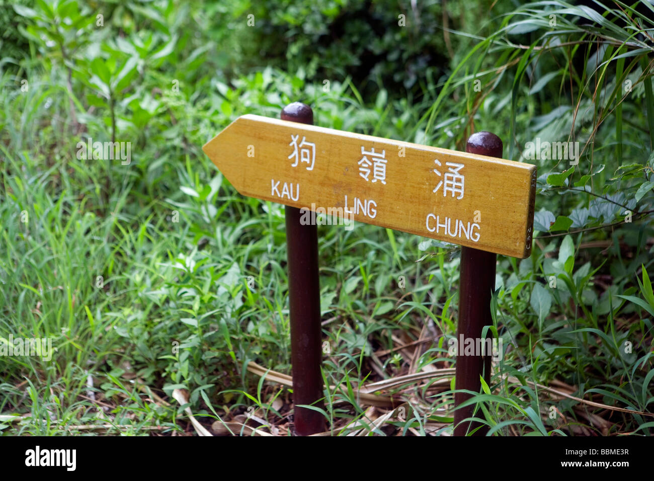 Cina, Hong Kong, l'Isola di Lantau. Passeggiate e trekking sul Sentiero di Lantau, i sentieri sono molto ben fatta e ben segnavia. Foto Stock