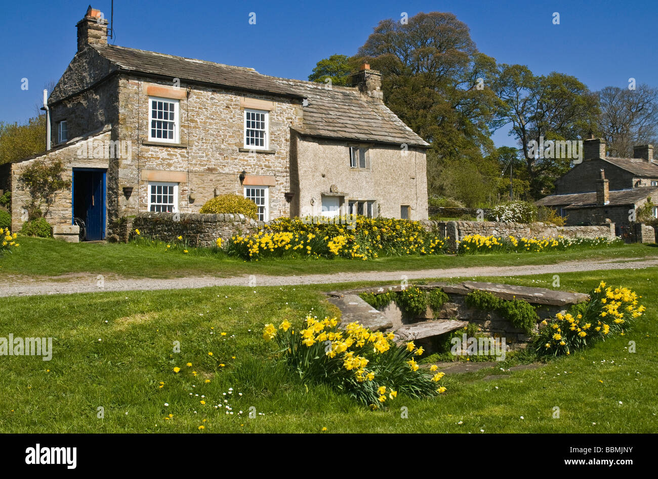 dh Yorkshire Dales National Park CASTLE BOLTON NORTH YORKSHIRE Wensleydale Village Daffodils sede casa rustica regno unito cottage di campagna Foto Stock