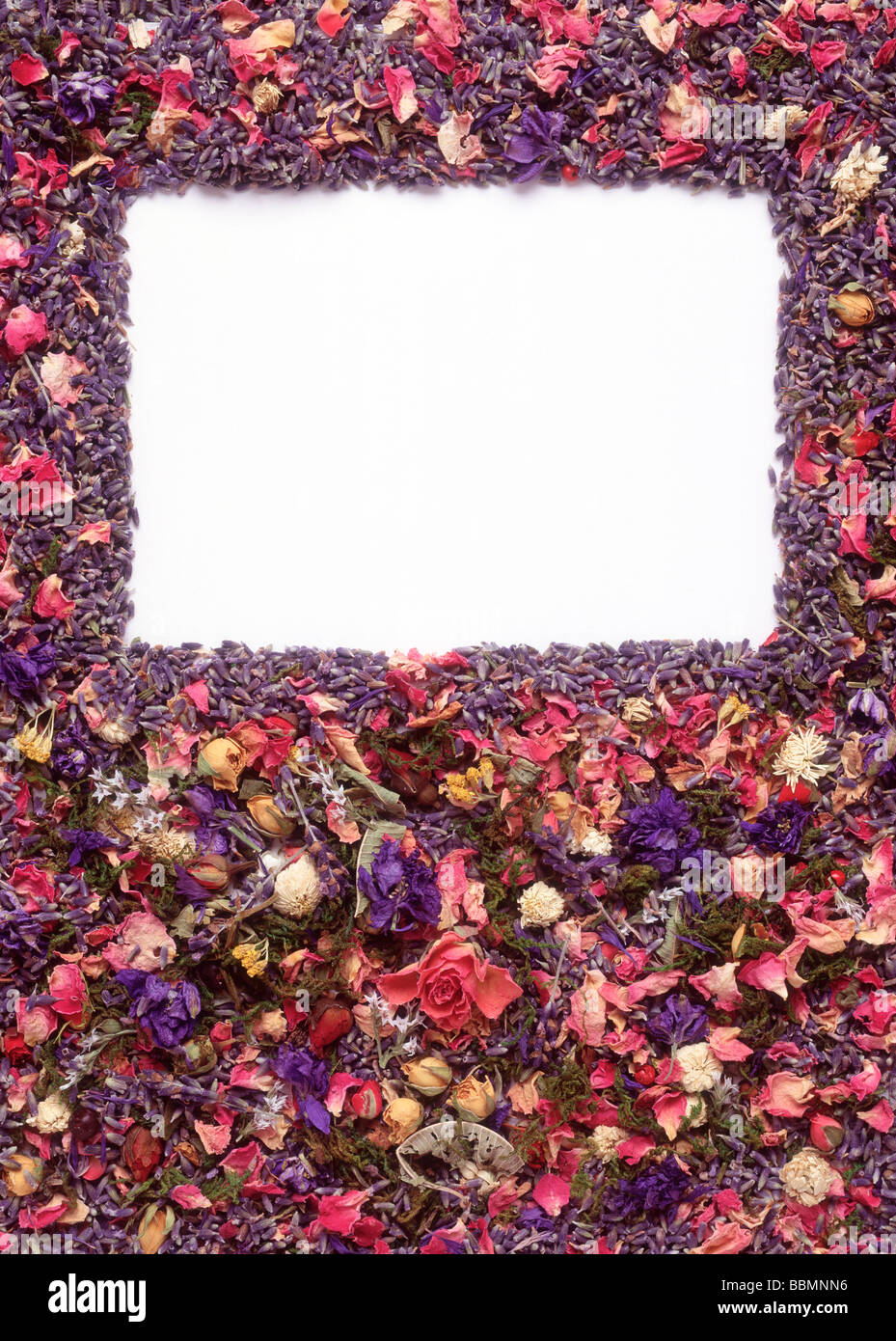 In prossimità di una cornice rettangolare formata da fiori Foto Stock