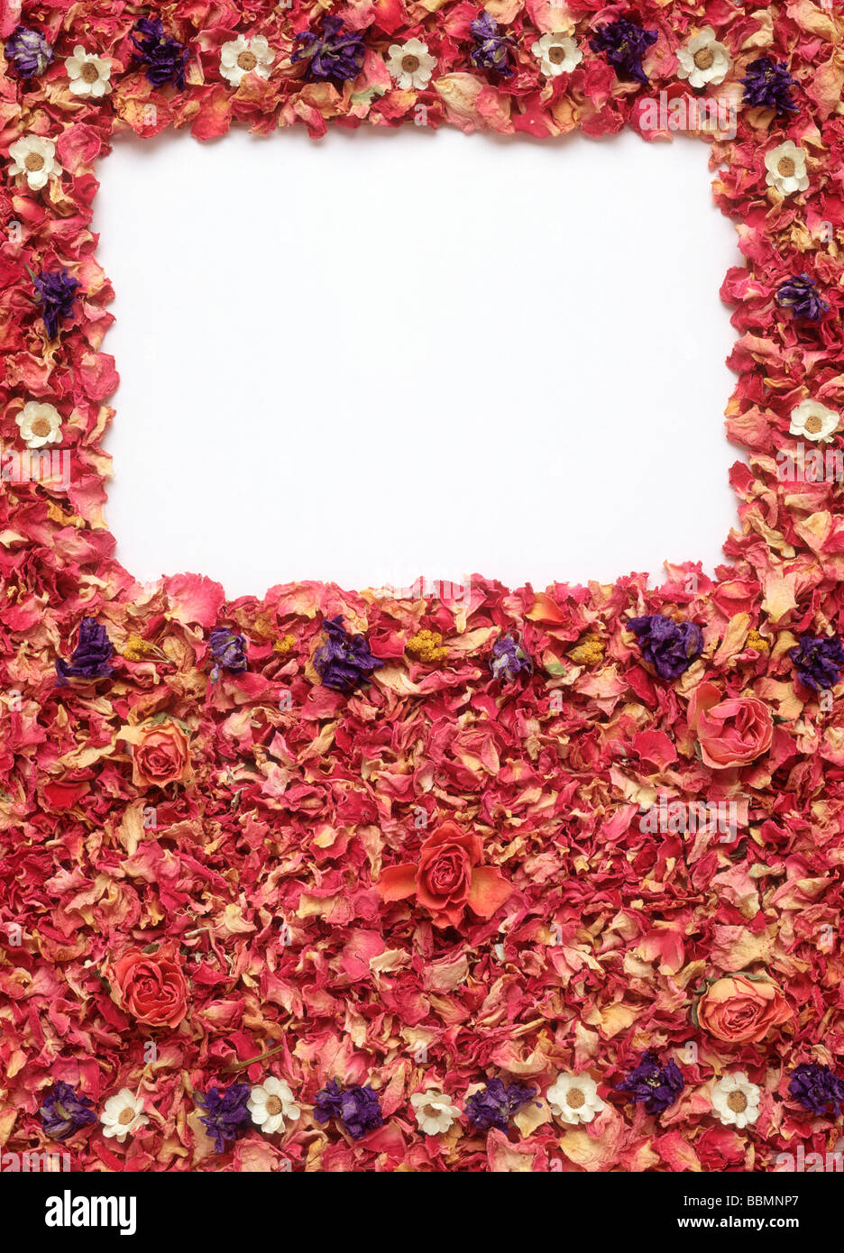 Un telaio rettangolare formata da fiori Foto Stock