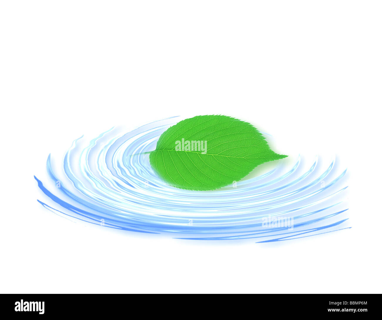 Vista di una punta di foglie galleggianti su acqua (composito digitale) Foto Stock