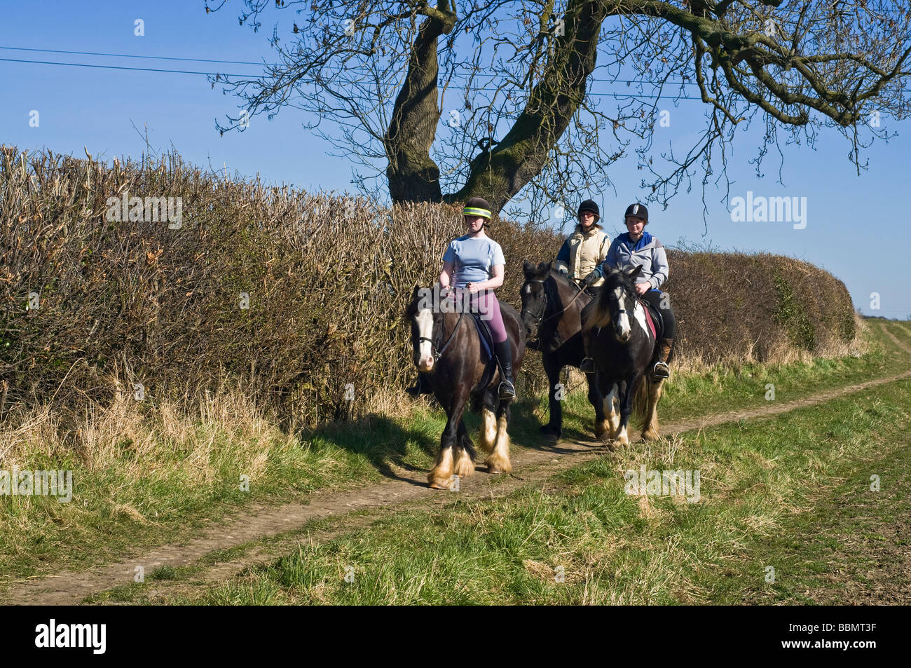 dh pony cavallo UK Riders sul sentiero di campagna cavalli cavalli briglia percorso Yorkshire campo equitazione ragazza giro indietro Foto Stock