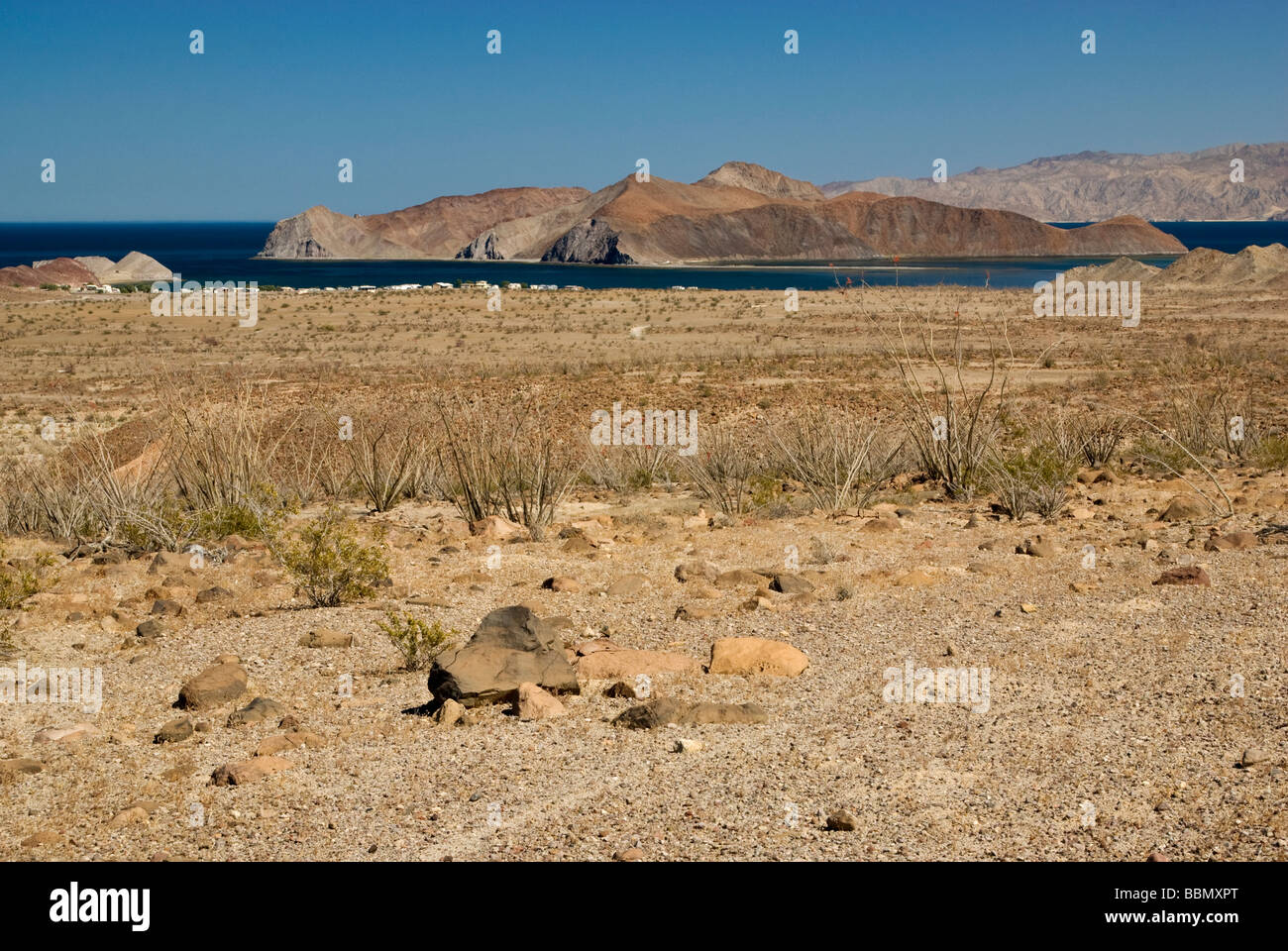 Punta Willard in mare di Cortez costa a sud di Puertecitos Baja California Messico Foto Stock