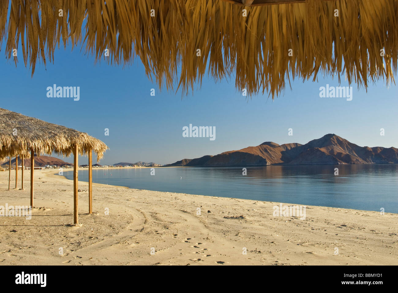 Palapas sulla spiaggia di Bahia San Luis Gonzaga a Campo Rancho Grande Baja California Messico Foto Stock