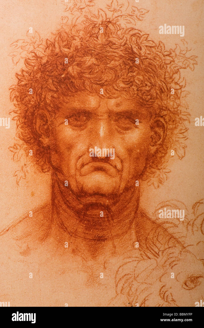 Testa di carattere di un uomo anziano e lo schizzo di una testa di leone di Leonardo da Vinci 1505-1510 Gesso rosso Foto Stock