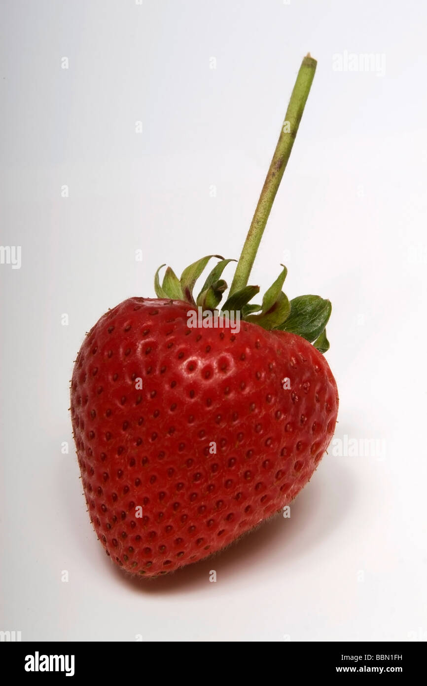 Gigante di fragole Foto Stock