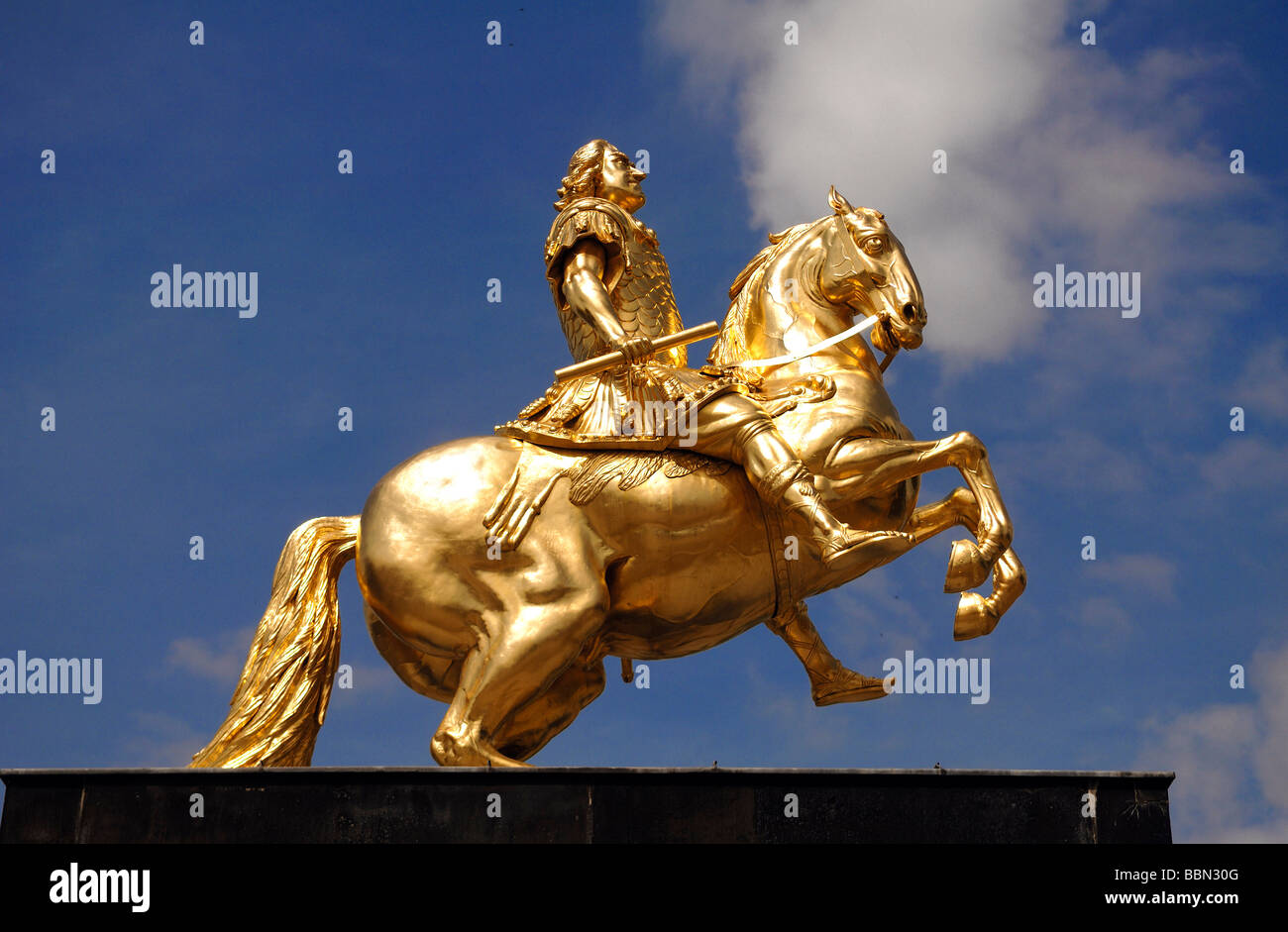 Golden statua equestre di Augusto il Forte contro il cielo blu, Dresda, Sassonia, Germania, Europa Foto Stock