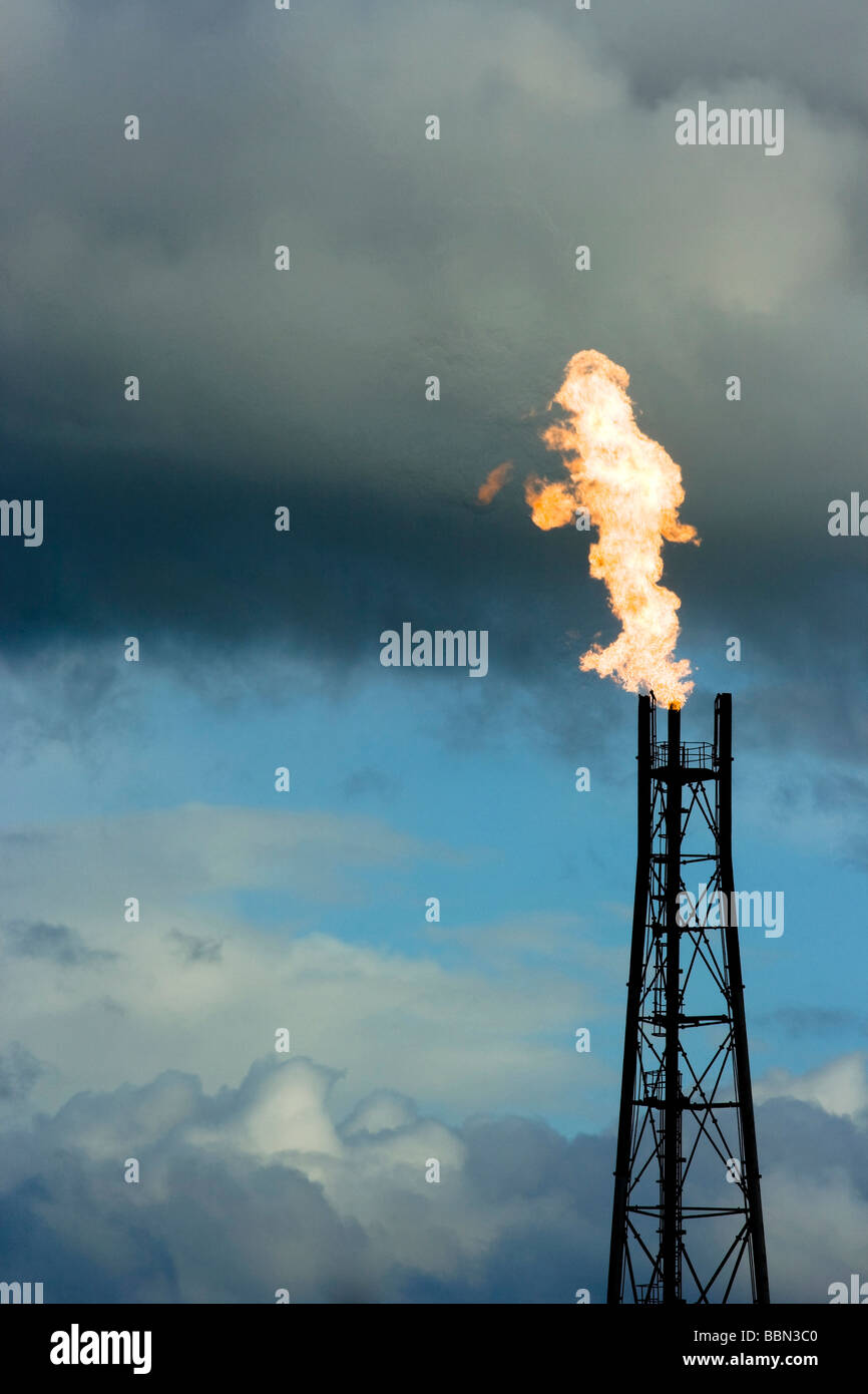 Fiamme di scarico da un impianto industriale di masterizzazione torre contro il cielo di sera Foto Stock
