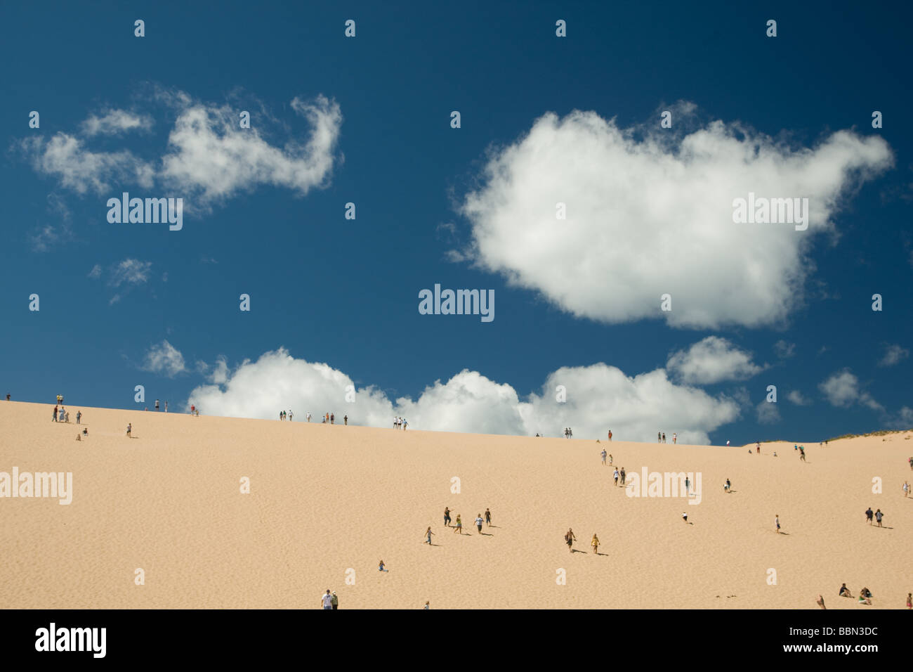 Dune salire le dune di sabbia, Sleeping Bear Dunes National Lakeshore, Michigan STATI UNITI Foto Stock