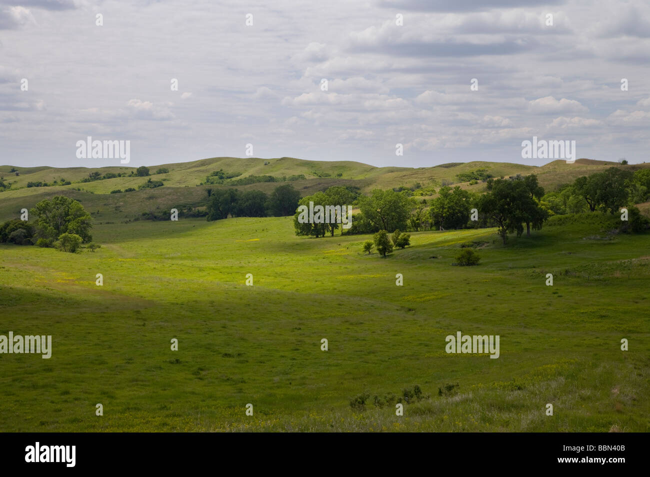 Il loess Hills, rotte bollitore praterie (a preservare la natura Conservancy), Plymouth County, Iowa Foto Stock