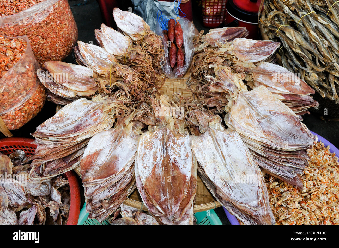 Calamaro asciugato, stallo mercato del pesce, Vinh Long, Delta del Mekong, Vietnam Asia Foto Stock