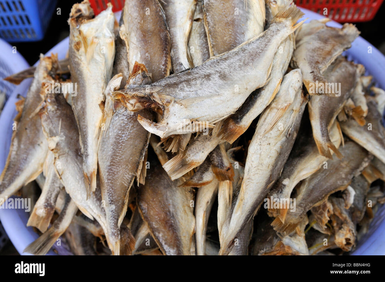 Pesci secchi in un recipiente di plastica, mercato del pesce, Vinh Long, Delta del Mekong, Vietnam Asia Foto Stock