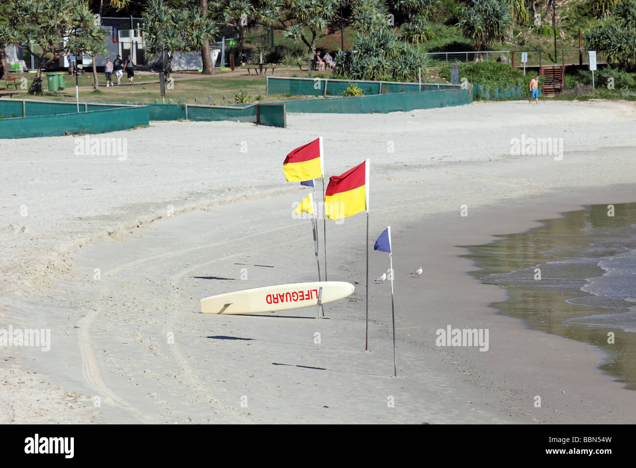 Nuotare tra i flag per la sicurezza nell'oceano Foto Stock