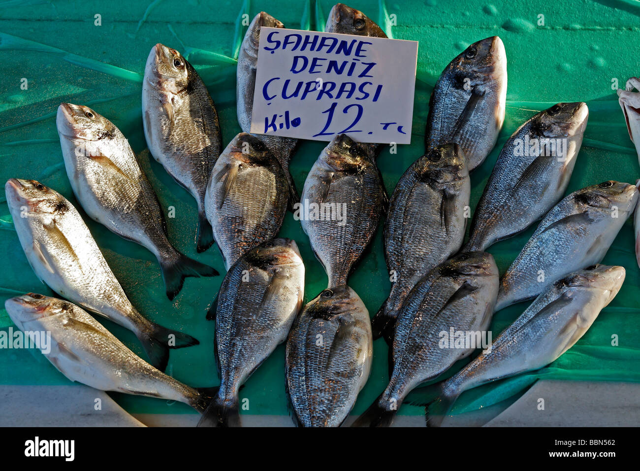 Fresh Marine fish con prezzo di etichetta, splendidamente posizionato, Karakoey mercato del pesce, Istanbul, Turchia Foto Stock