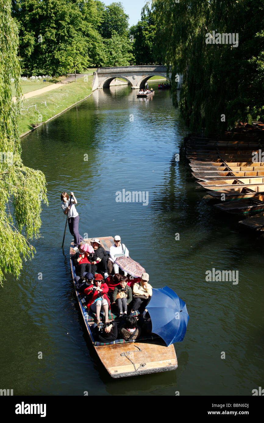 Un percorso guidato di punt gita sul fiume Cam in una zona conosciuta come i dorsi Cambridge Regno Unito Foto Stock