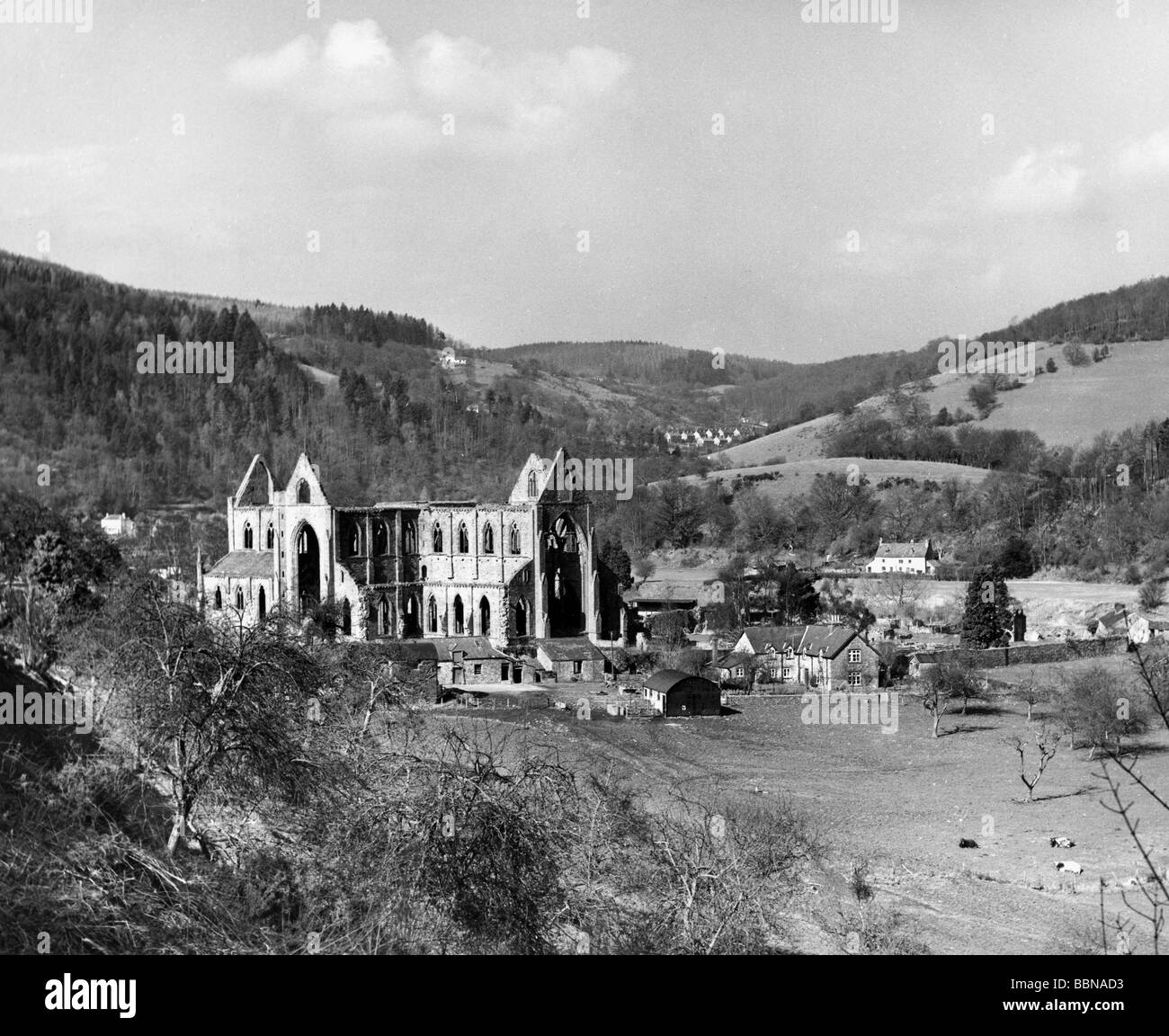 Geografia / viaggio, Gran Bretagna, Tintern, edifici, rovine del chiostro, Abbazia di Tintern, vista esterna, 1950s, Foto Stock