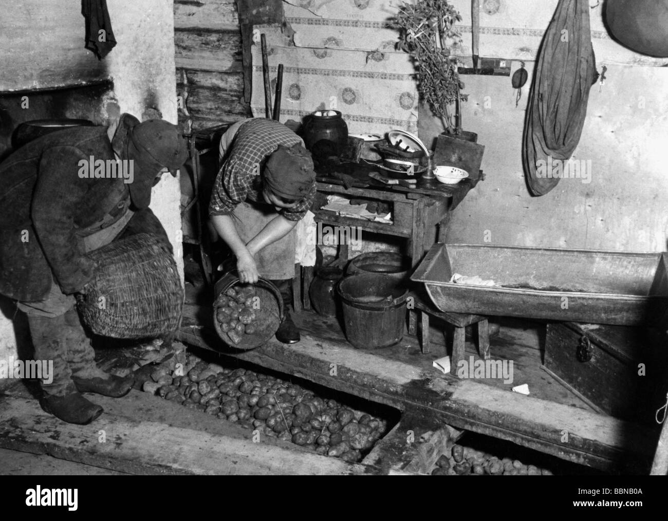 Geografia / viaggio, Russia, persone, agricoltori russi che immagazzinano patate sotto le assi della loro casa, Sytshevka vicino Smolensk, autunno 1941, Foto Stock