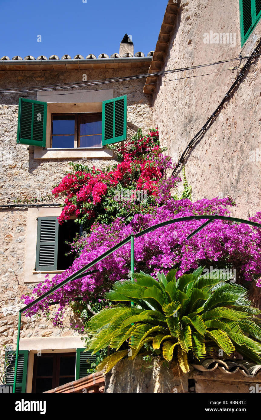 Casa di villaggio con bouganville e palme, Deia, Deia comune, Maiorca, isole Baleari, Spagna Foto Stock