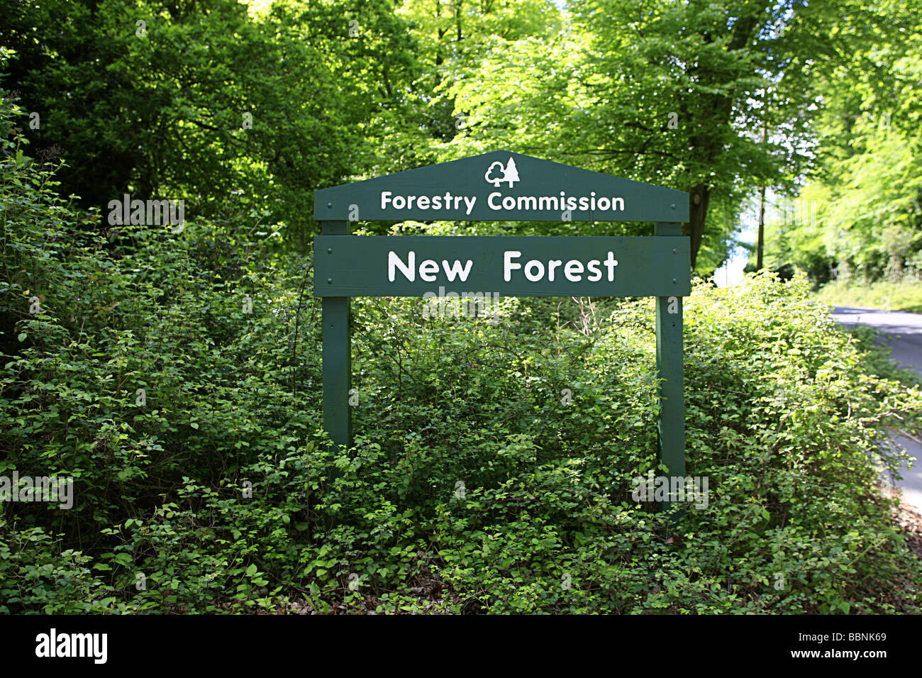 Commissione forestale per firmare il nuovo Forset in Hampshire Inghilterra Foto Stock