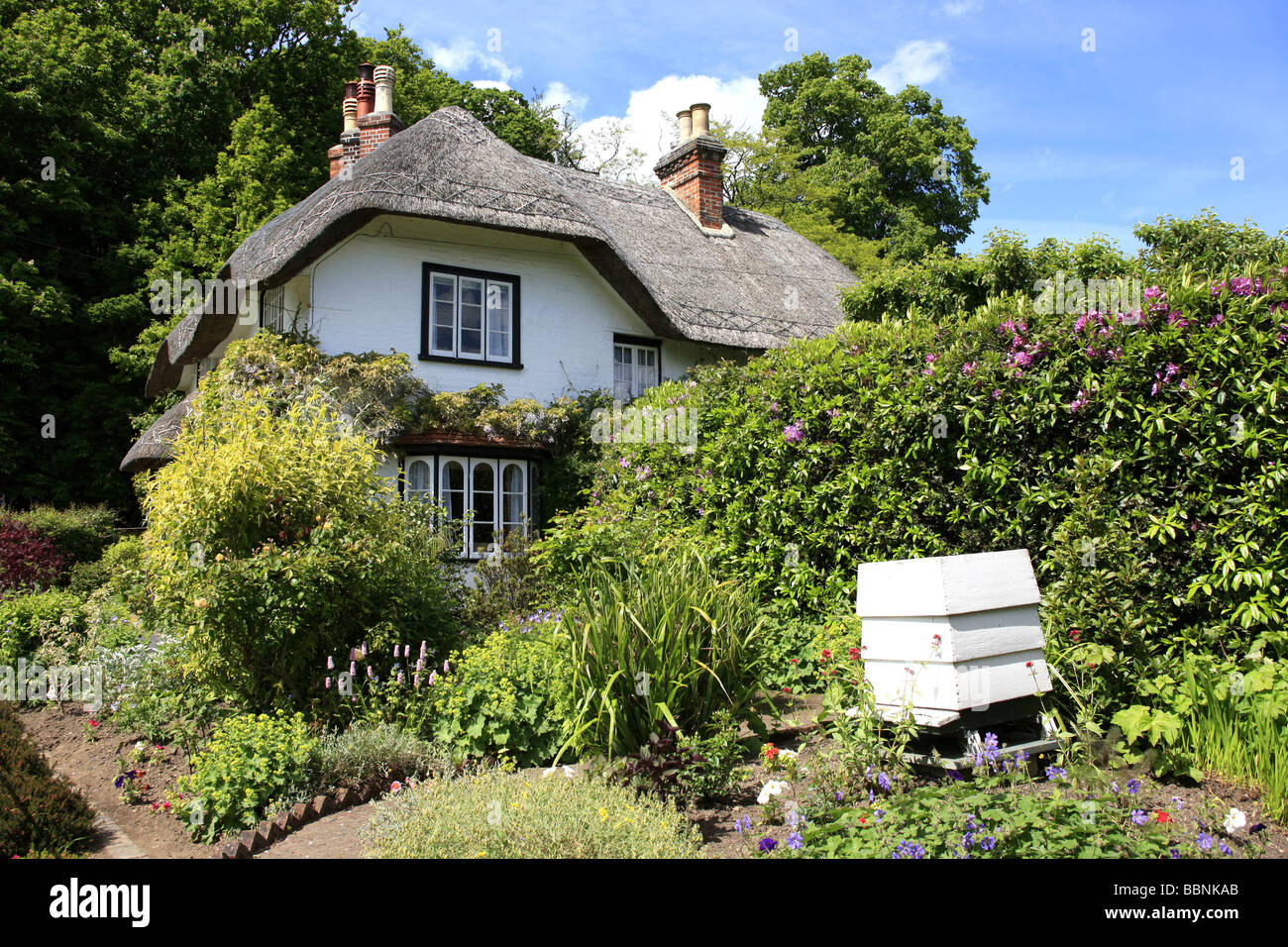 Un dipinto di bianco con tetto in paglia e Cottage beehive allo Swan Green Lyndhurst in Hampshire Inghilterra Foto Stock