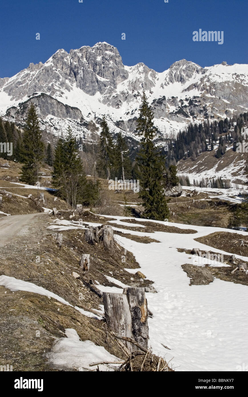 Geografia / viaggi, Salisburgo, Austria Membro, paesaggi, Filzmoos, Additional-Rights-Clearance-Info-Not-Available Foto Stock