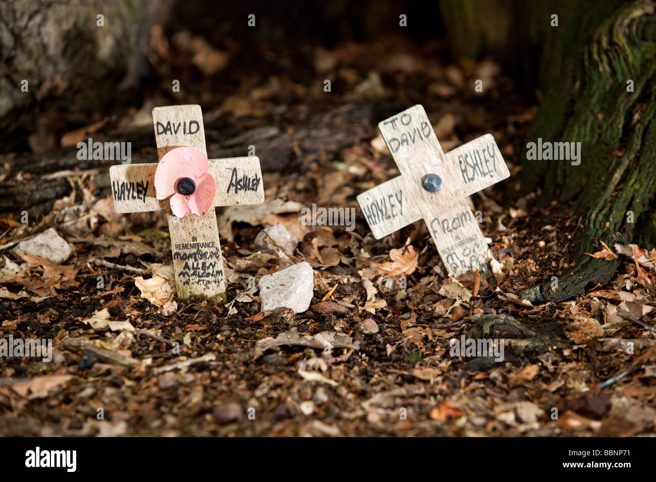 Due piccole croci di legno a presentarsi come un memoriale nel bosco in Worcestershire Inghilterra REGNO UNITO Foto Stock