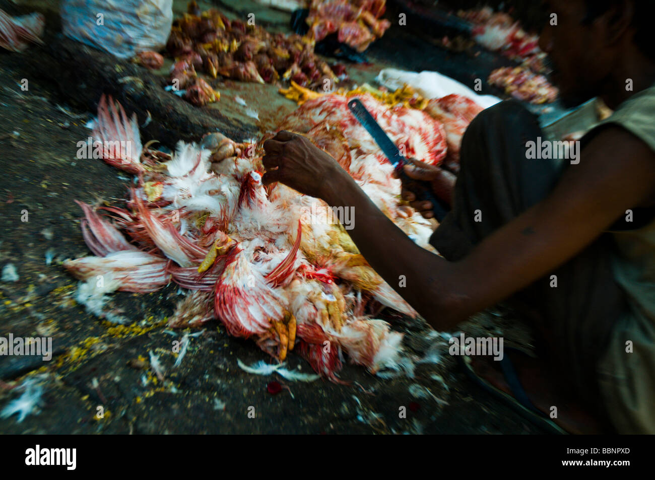 Lavoratore a crawford mercato, Mumbai Foto Stock