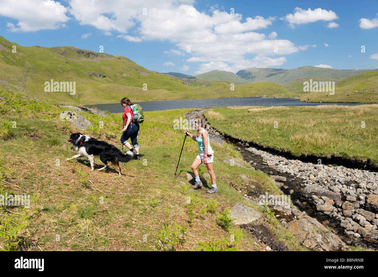 È sceso a Piedi nel Parco Nazionale del Distretto dei Laghi, Cumbria, Inghilterra. Due donne con Border Collie cane. Easdeale Tarn, Grasmere. Foto Stock