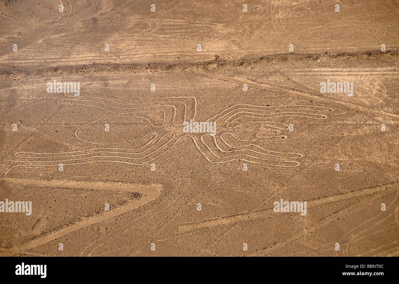 Vista delle Linee di Nasca, Perù, dall'aria Foto Stock