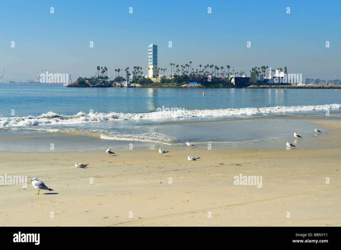 City Beach Panorama e Grissom Island, Long Beach CA Foto Stock