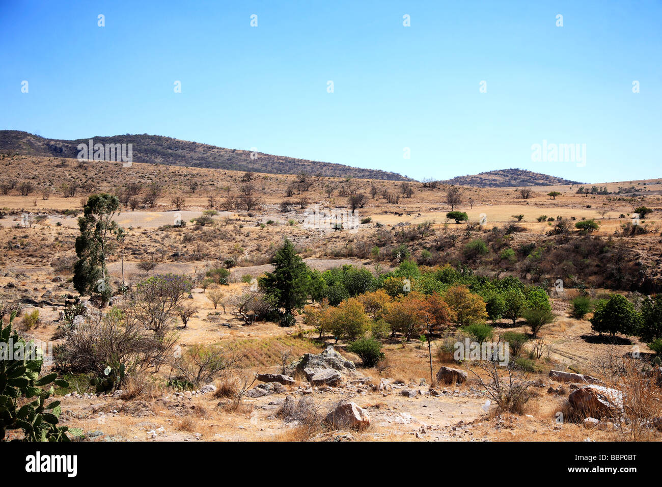 Immagine di panorama ispira Deserto in pace splendidi orizzonti quasi deserto giornata di sole Foto Stock