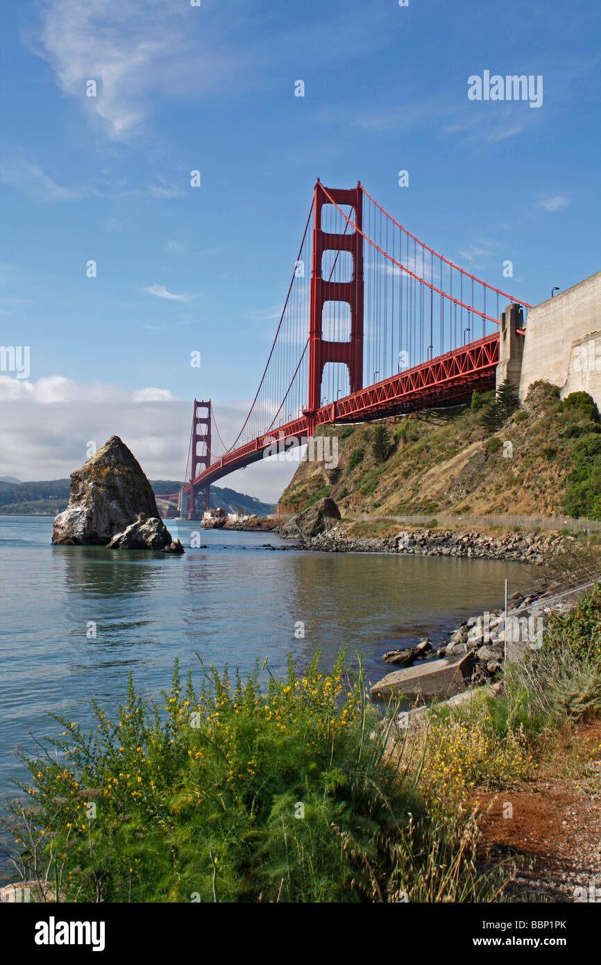 Golden Gate Bridge da Ft Baker, Bush in primo piano Foto Stock