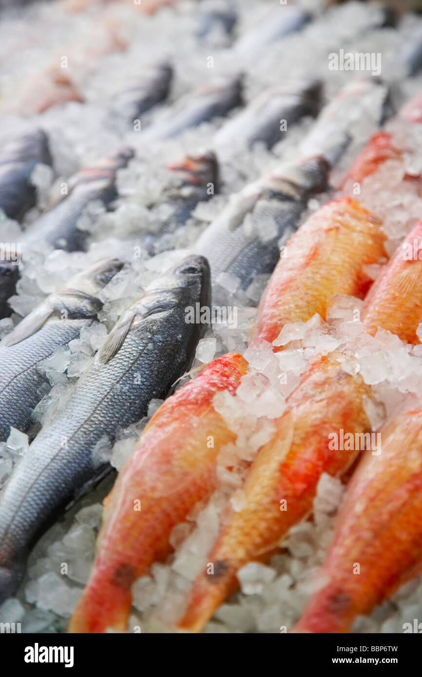 Pesce sul display sul ghiaccio di pescivendoli Foto Stock