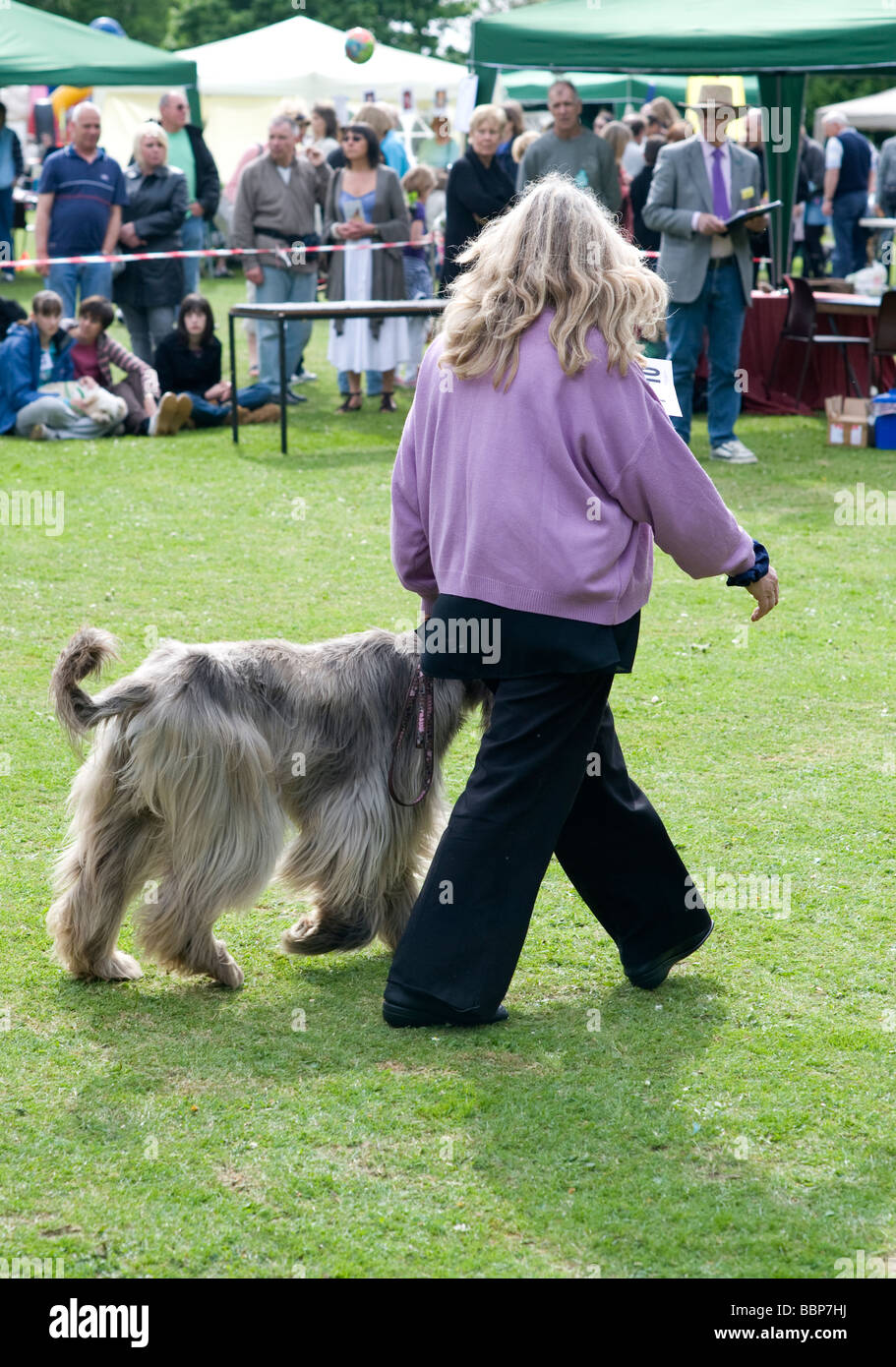 Cane e proprietario con capelli SIMILE A UN VILLAGGIO FETE DOG SHOW Foto Stock