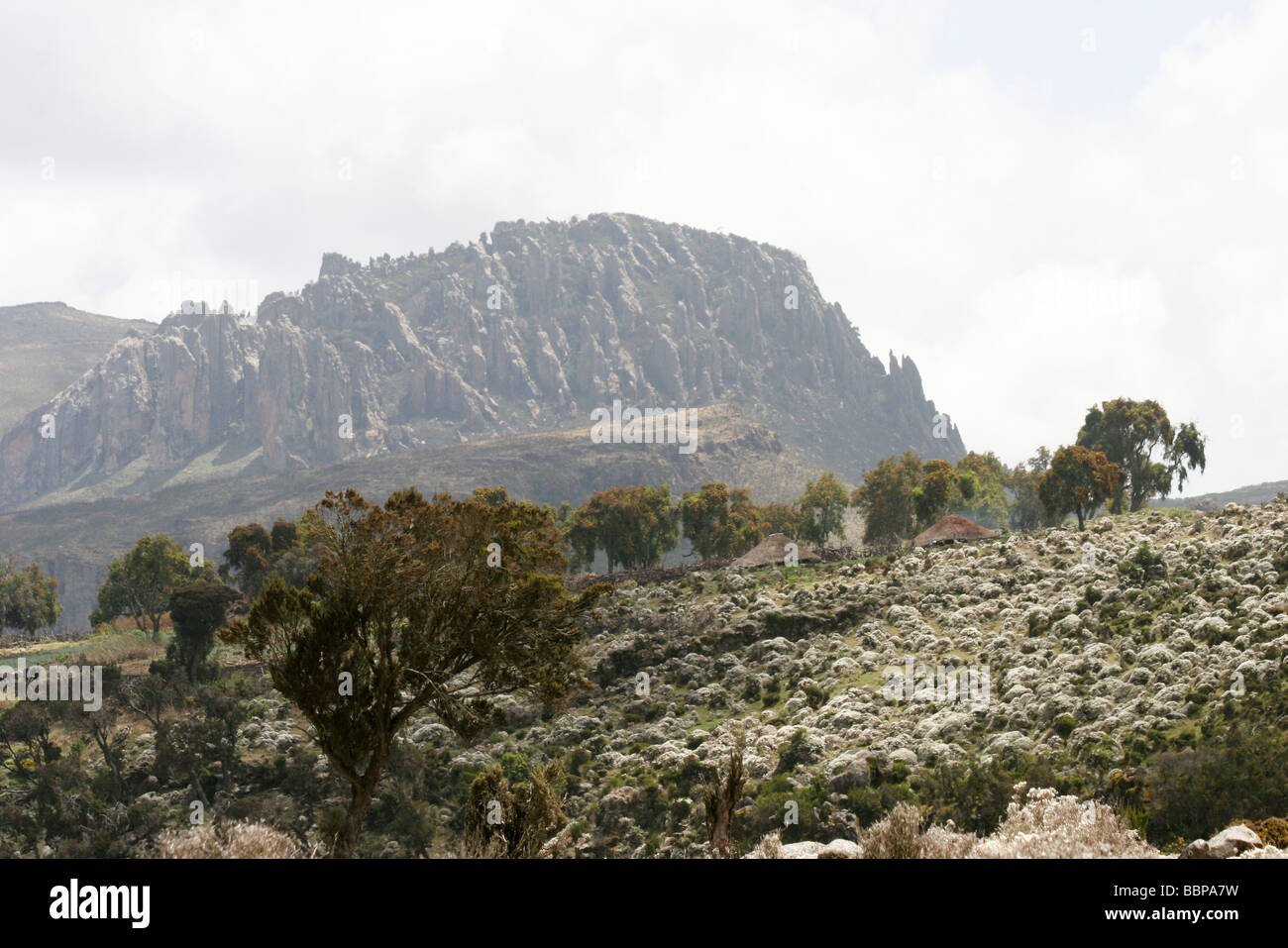 Africa Etiopia Regione Oromia montagne della balla Foto Stock