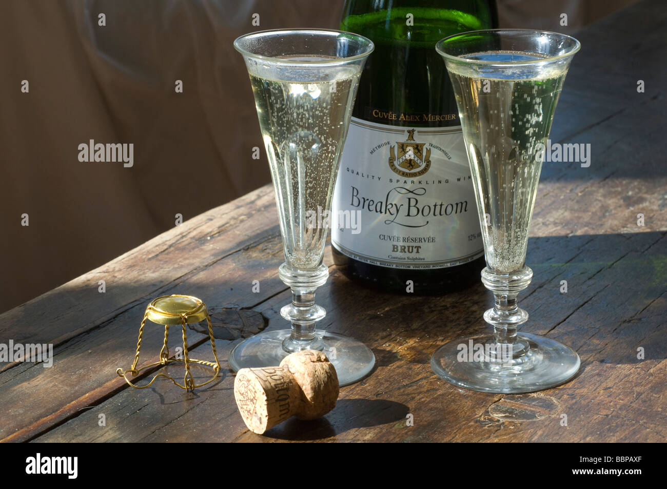 Stile Champagne vino spumante dal fondo Breaky vigneto, Rodmell, nei pressi di Lewes, nel Sussex, Inghilterra, Regno Unito Gran Bretagna Foto Stock